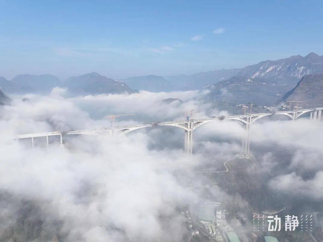 微信圖片_20250214135108.jpg 微信圖片_20250214135108.jpg